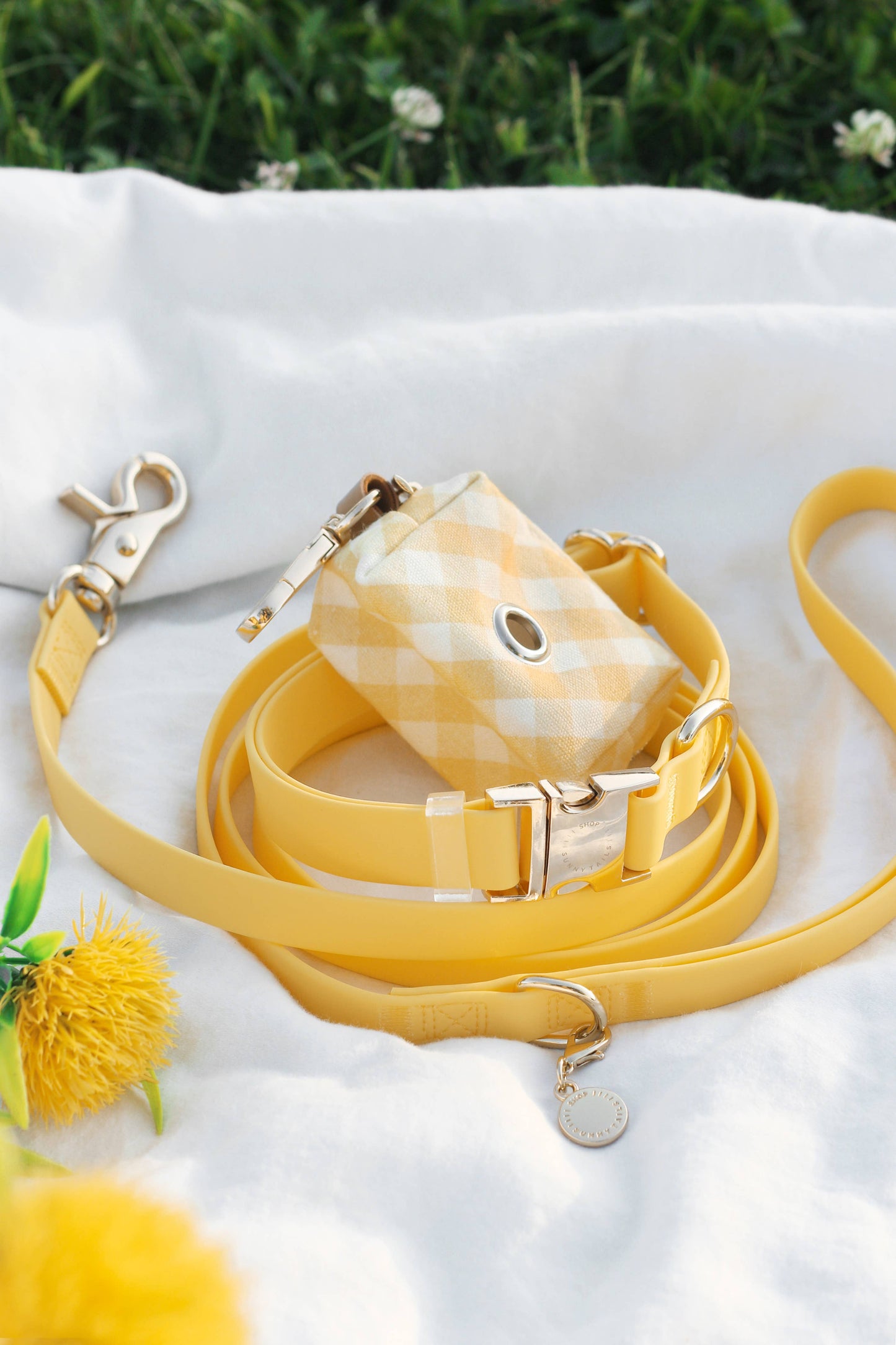 Dog Leash Waterproof - Dandelion Yellow | 5 FT