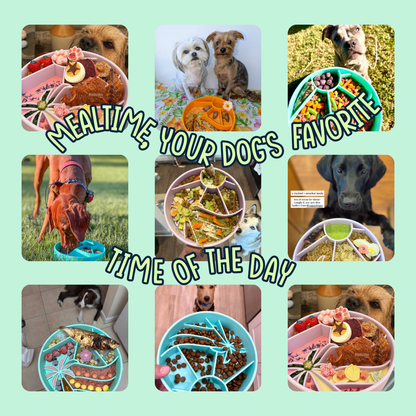 Loco Coco Interactive Slow Feeder Bowl : Moonlight