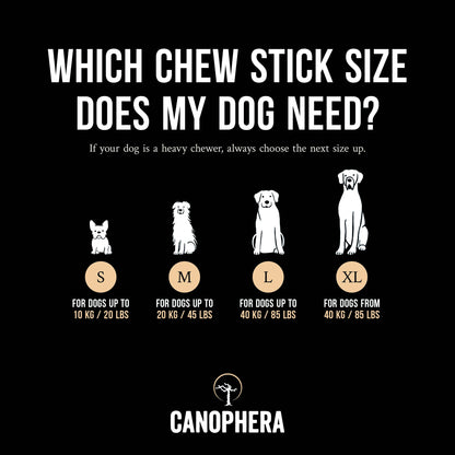 Coffee & Coco Wood Dog Chews with rope