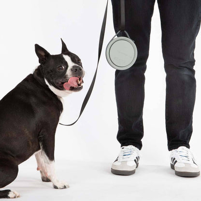 Nomad Collapsible Dog Bowl - Two Sizes Available: Grey Silicone / Large