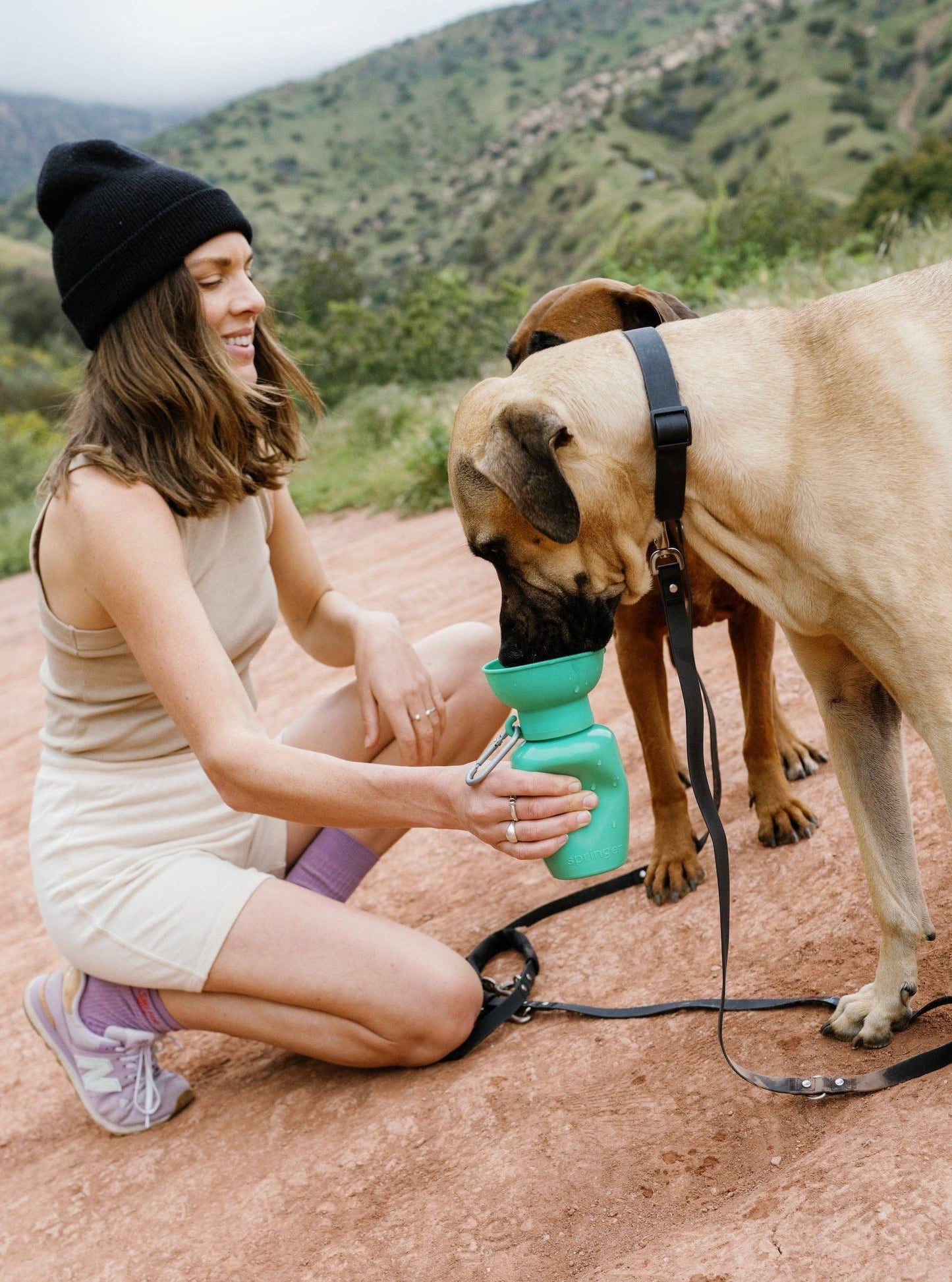 Springer Dog Travel Water Bottle, 20oz