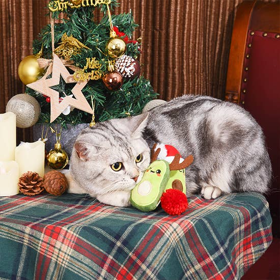 Holiday Feline  | Avocado Christmas - Cat Toy