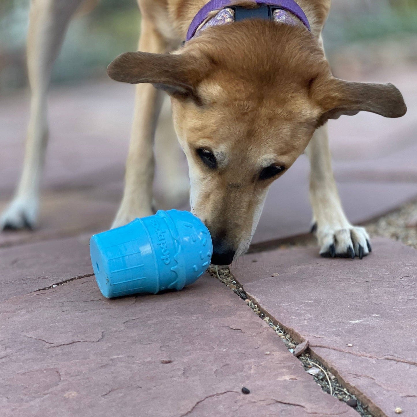 Ice Cream Cone Durable Rubber Chew Toy and Treat Dispenser: Large