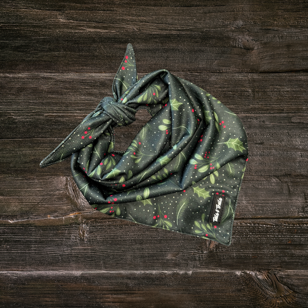 Holly Dog Bandana