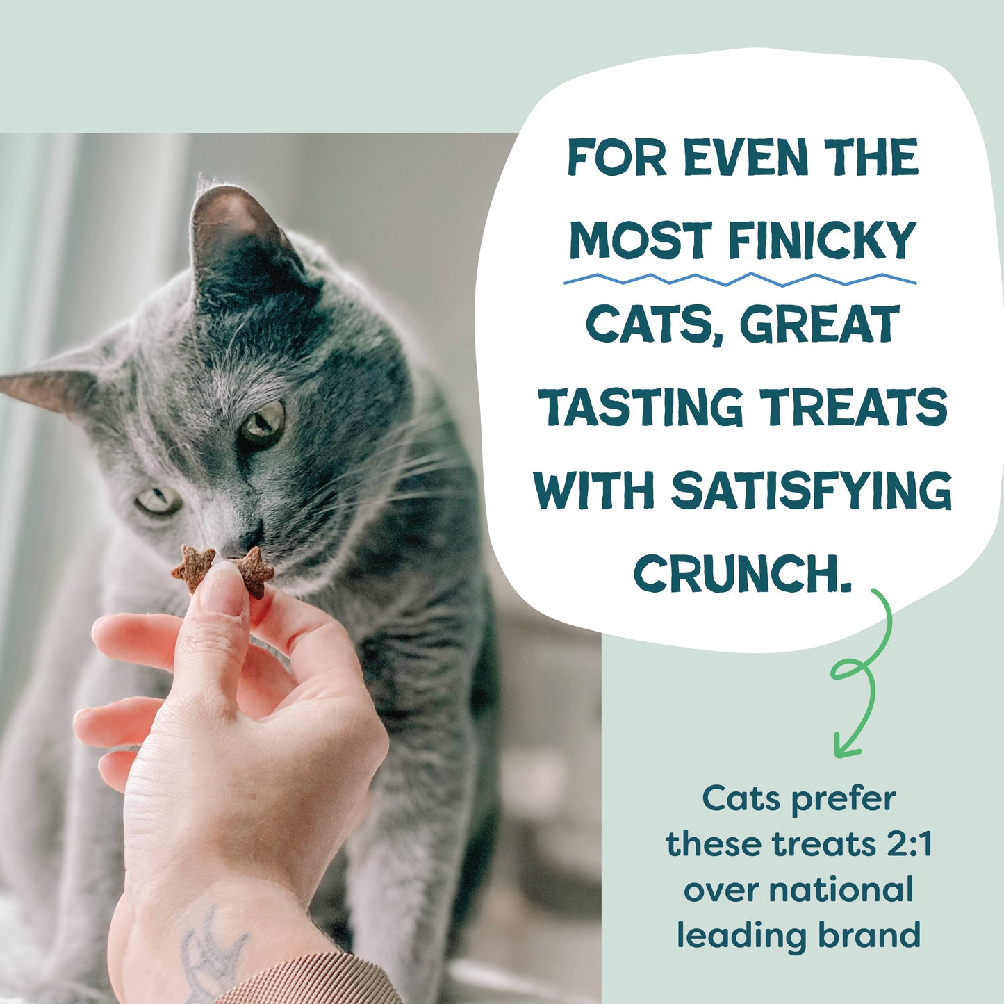 Catnip N Chill Crunchy Cat Treats - Chicken