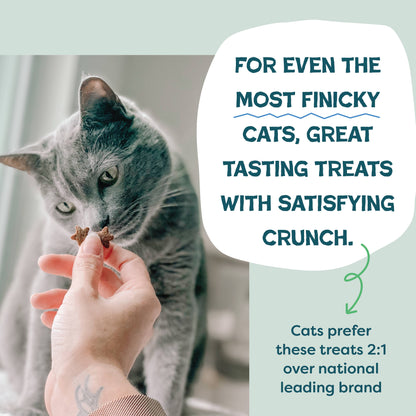 Catnip N Chill Crunchy Cat Treats - Chicken