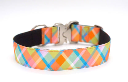 Summer Plaid Dog Collar