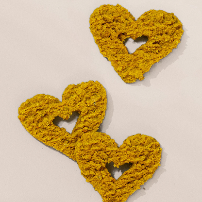 Gogoma  Turmeric + Anchovy Whole Food Dog Treat for Mobility