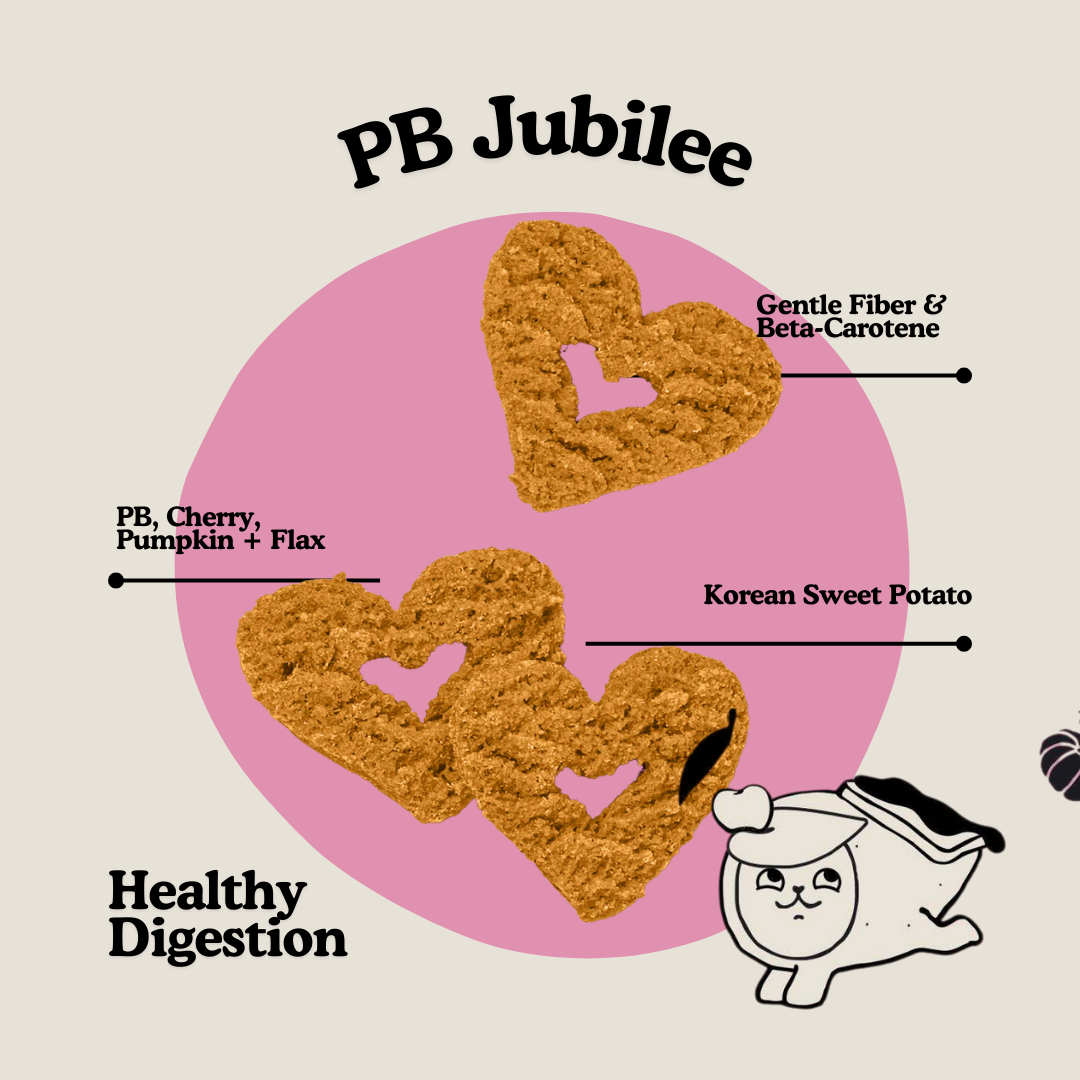 Gogoma PB + Pumpkin Whole Food Dog Treat for Digestion