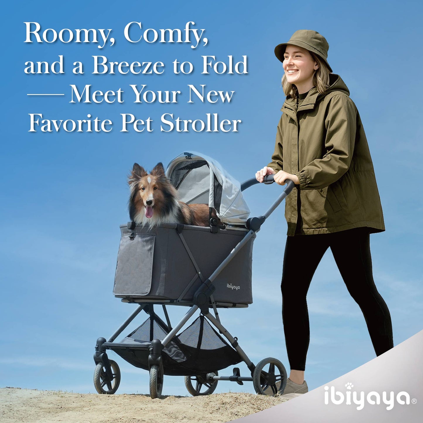 Ibiyaya Maxi Deep Pet Stroller: Twin Gray