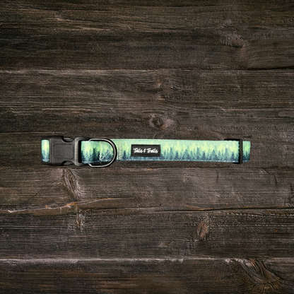 Forrest Trail Collar: Medium