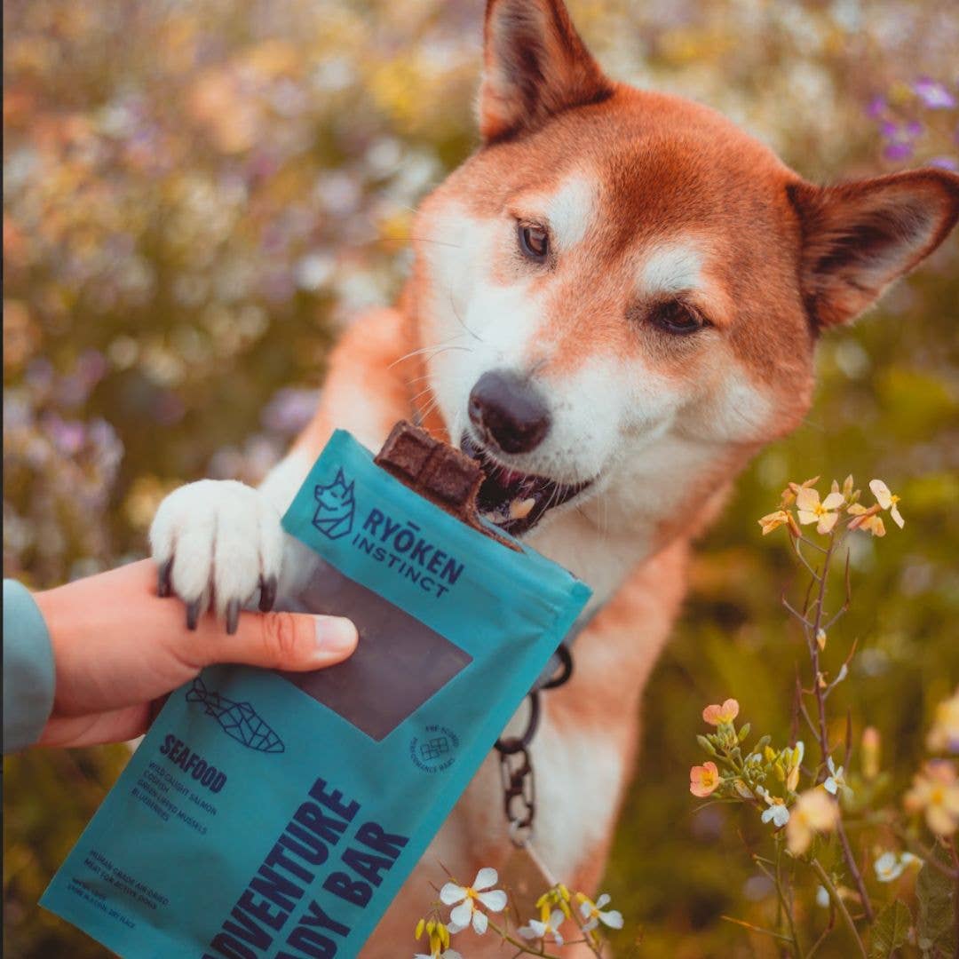 Ryoken Seafood Treat for Dogs
