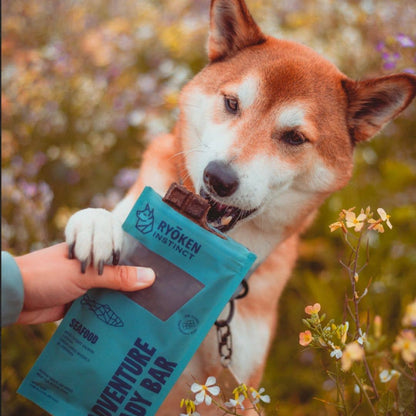 Ryoken Seafood Treat for Dogs
