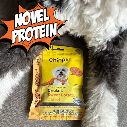 Chippin Sweet Potato Cricket Carrot Soft Dog Treat