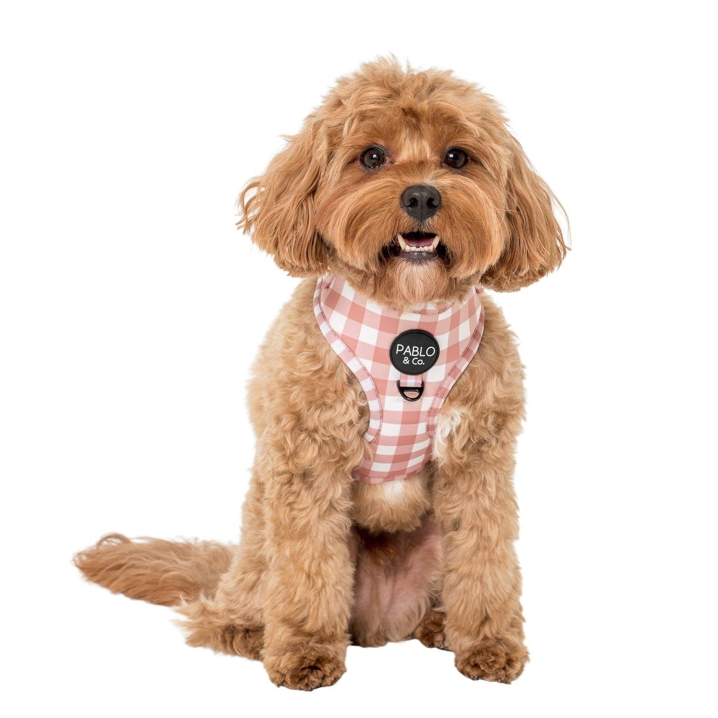 Chocolate Gingham Dog Harness