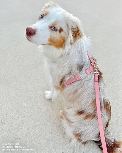 Perfect Pink Waterproof Cloud 30 Ft Dog Leash