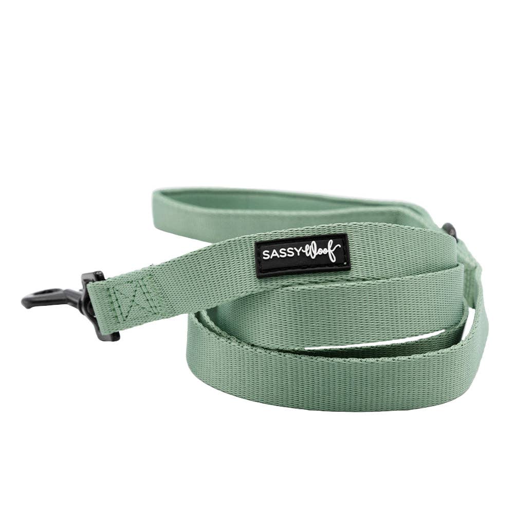 Dog Leash - Sage