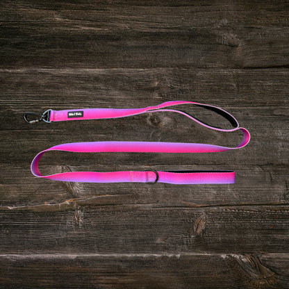 Double Handle Sunrise Trail Leash