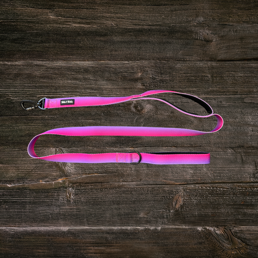 Double Handle Sunrise Trail Leash