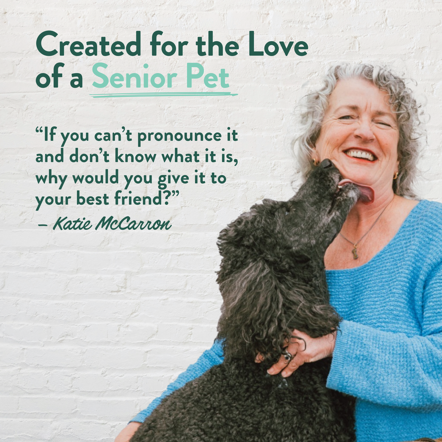 Portland Pet Food Rosie's Beef N Rice Wet Food Dog Pouches