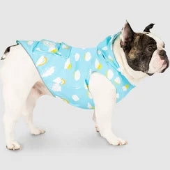 Canada Pooch Rain Jacket Clouds Medium