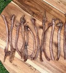 Furever Fierce Duck Trachea