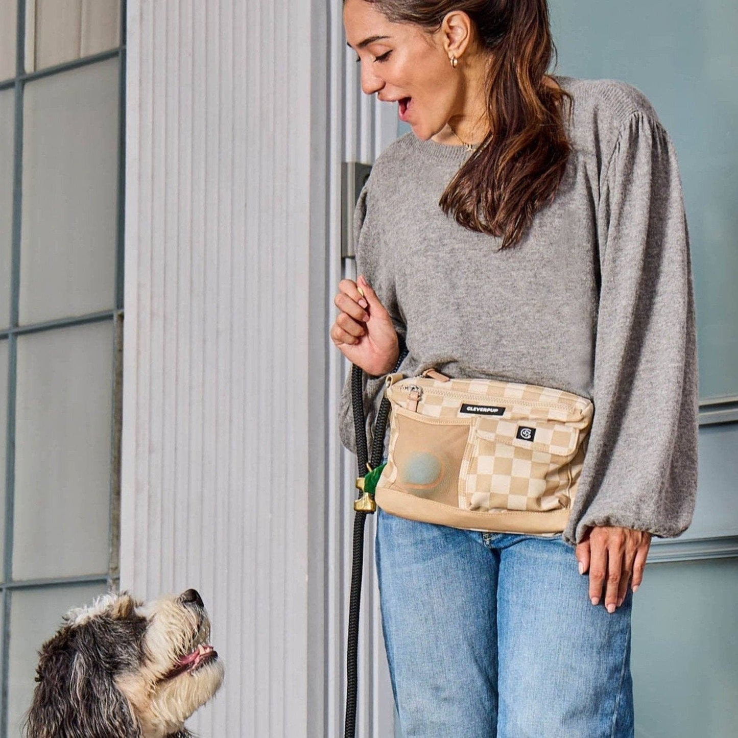 Dog Walk & Train Sling Bag: Graphite