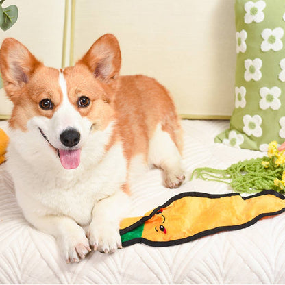 Squeakin’ Vegetables | Carrot - Dog Plush Toy