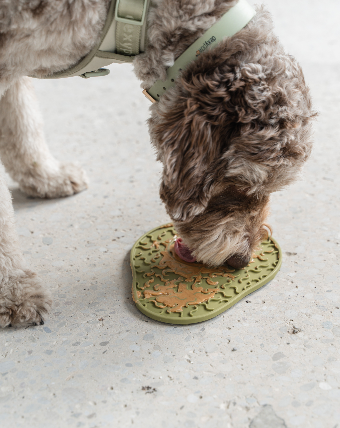 Avocado Lick Mat