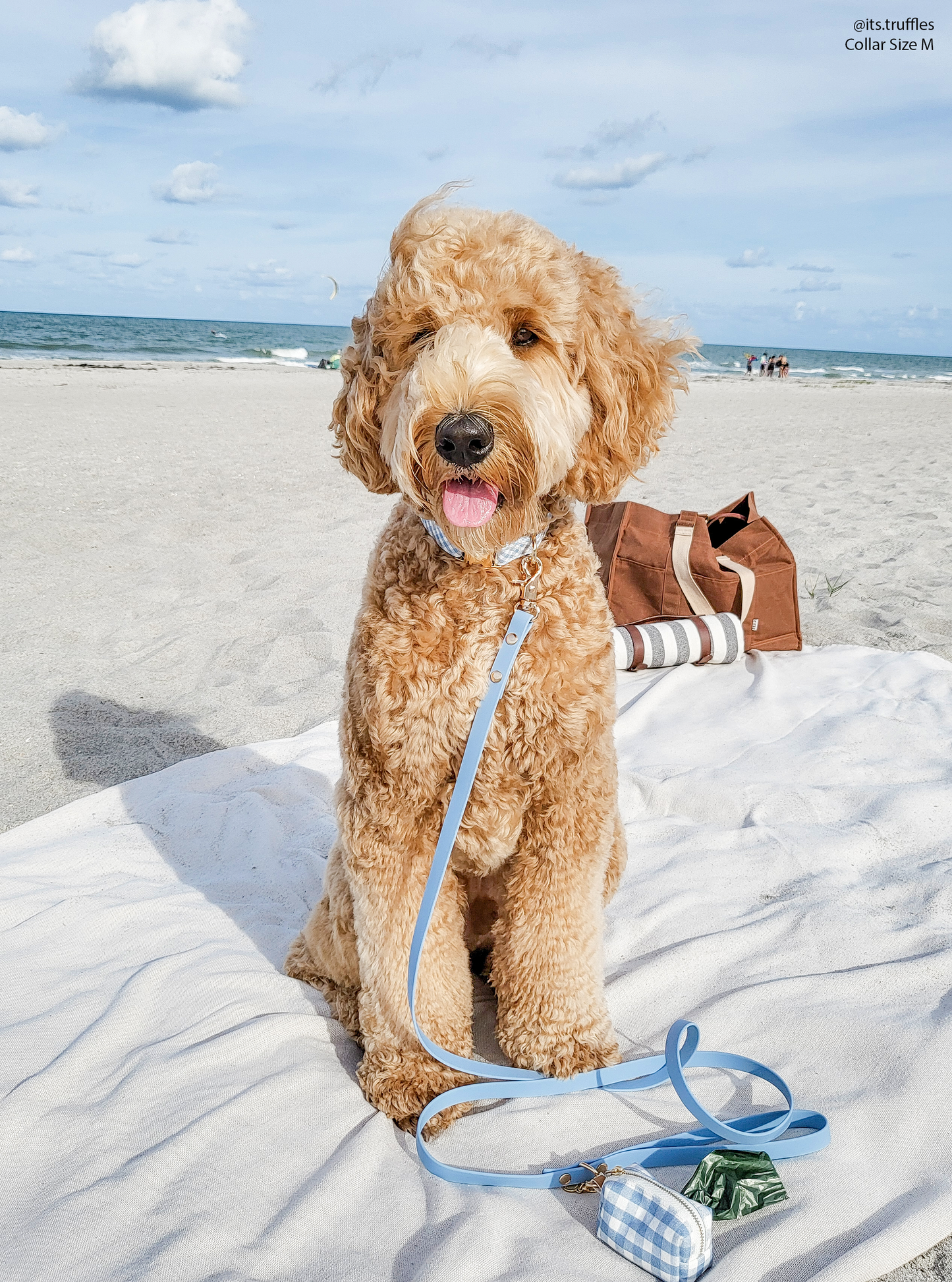 Dog Leash Waterproof - Malibu Blue |5 FT