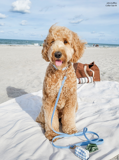 Dog Leash Waterproof - Malibu Blue |5 FT