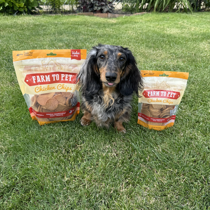 Chicken Chips Dog Treats: 4oz