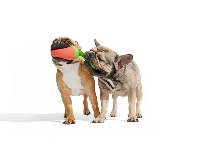 Bark Super Chewer Habanero Pepper