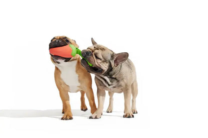 Bark Super Chewer Habanero Pepper