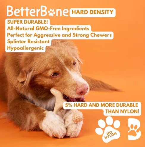 BetterBone Hard Classic Dog Chew Toy