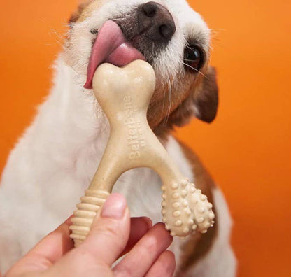 BetterBone Hard Classic Dog Chew Toy