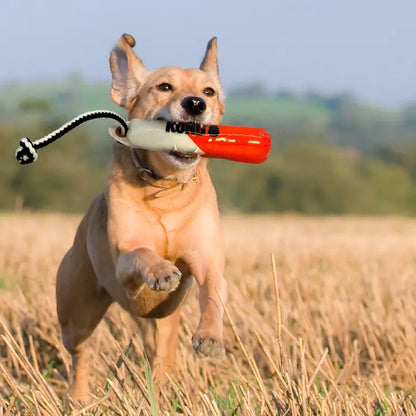 Kong Training Dummy | dog fetch toy