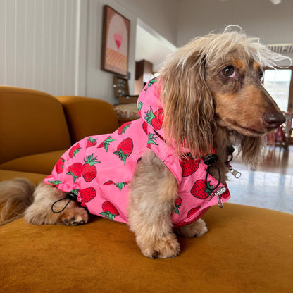 Strawberries / Cherry: Reversible Dog Raincoat