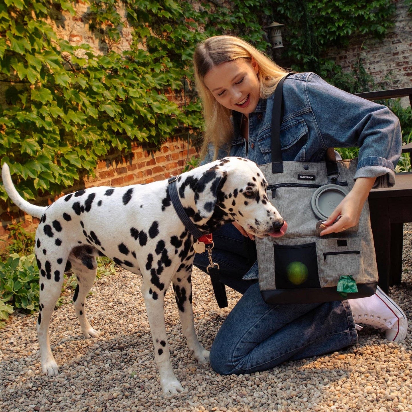 Park Pack Dog Gear Tote:Travel Bowl, Treat Pouch, Toy Pocket: Check