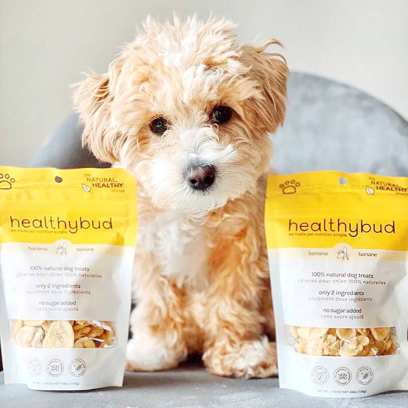 Healthybud's Single-Ingredient Banana Chip Dog Treats