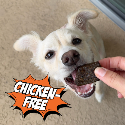 Chippin Sweet Potato Cricket Carrot Soft Dog Treat