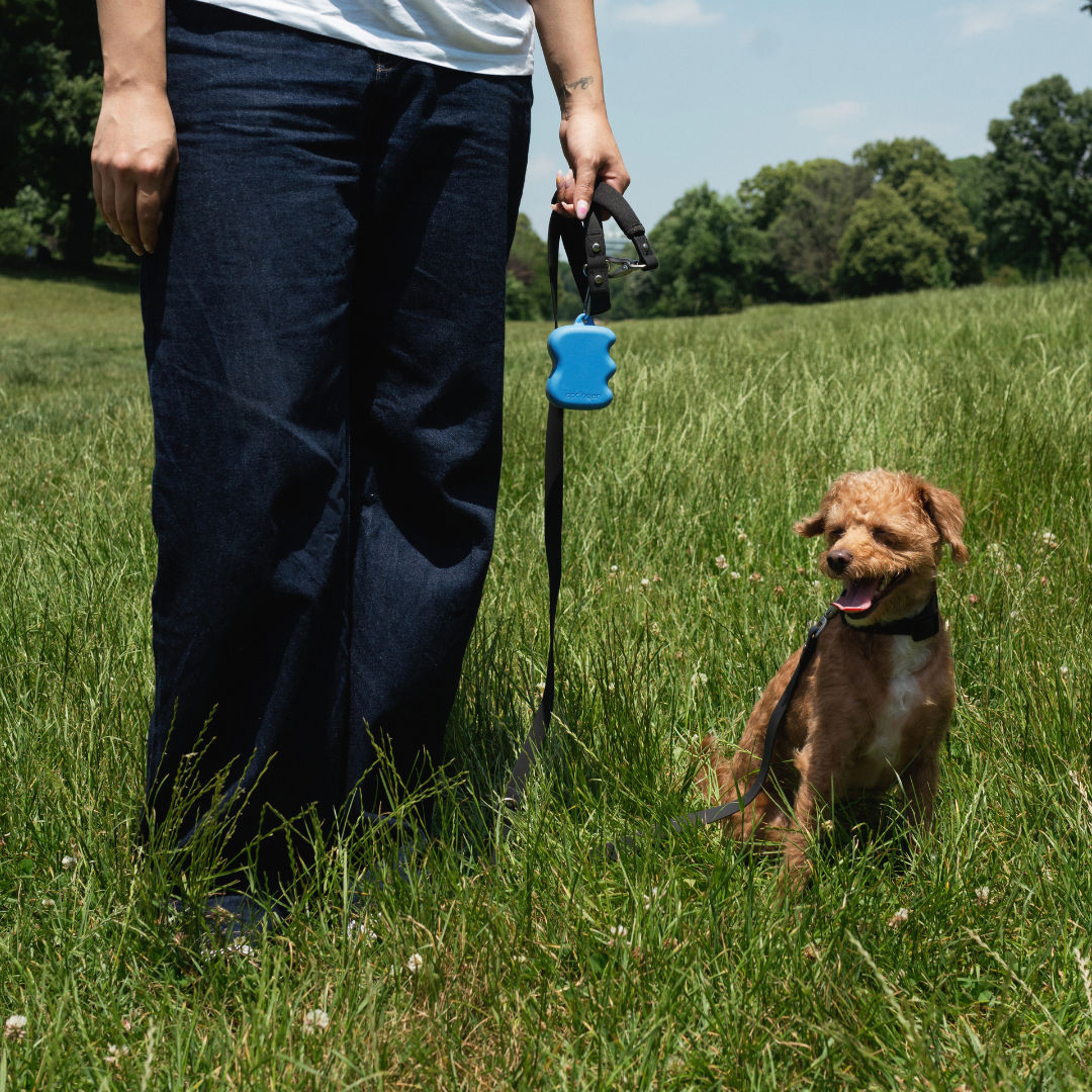 Springer Squeeze Silicone Dog Treat Dispenser