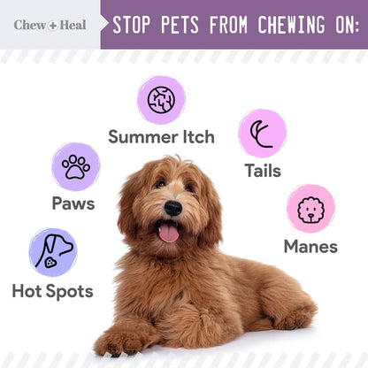 No Chew Spray For Dogs & Cats| Dogs Anti Chew Spray| Chew + Heal