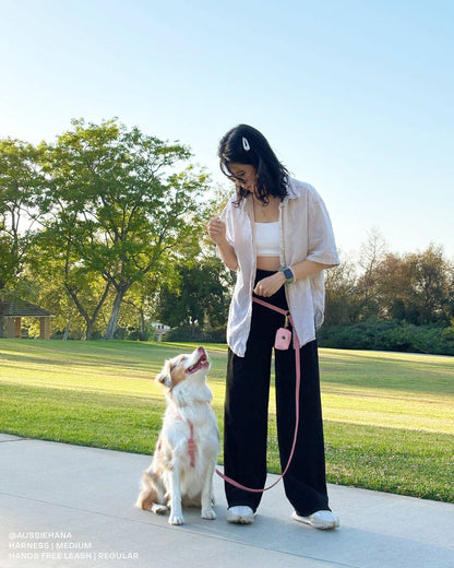Perfect Pink 4-in-1 Convertible Hands Free Cloud Dog Leash