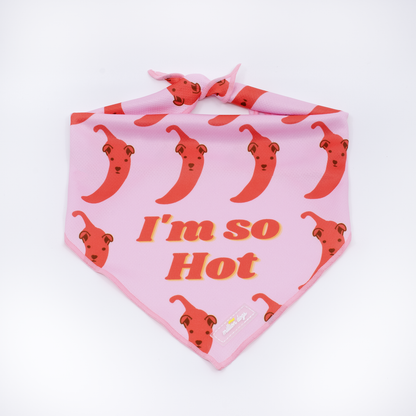 Dog Bandana - I'm so Hot