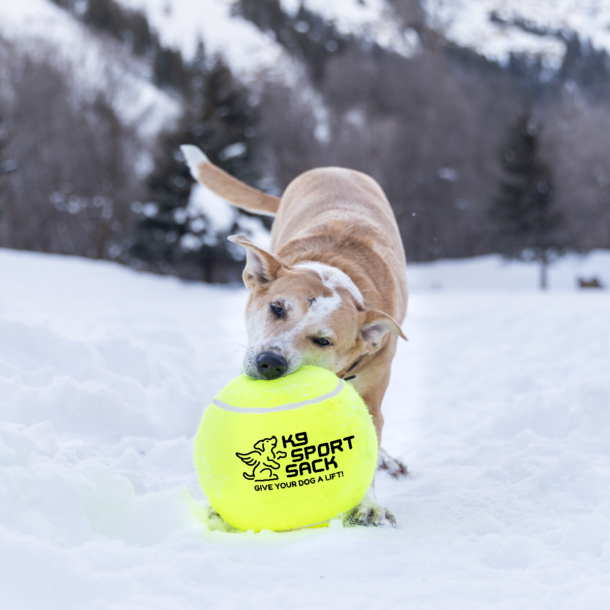 Jumbo Tennis Ball