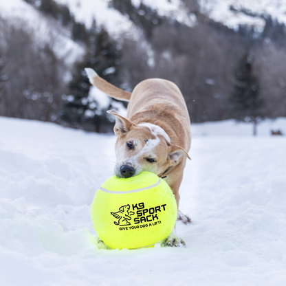 Jumbo Tennis Ball