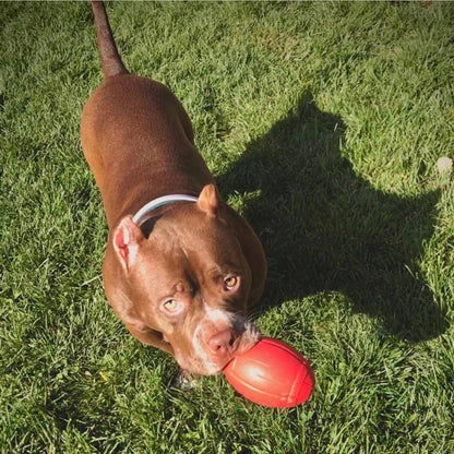 Football - Chew Toy - Treat Dispenser - Large