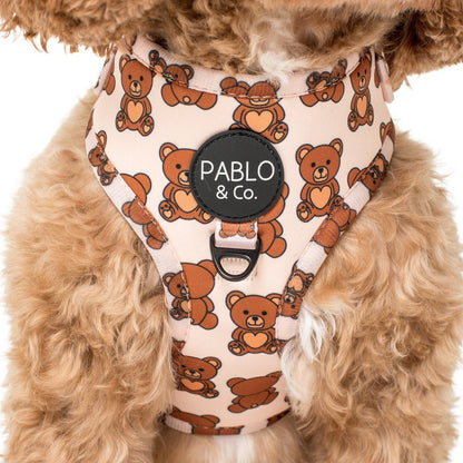 Teddy Bears Picnic Dog Harness