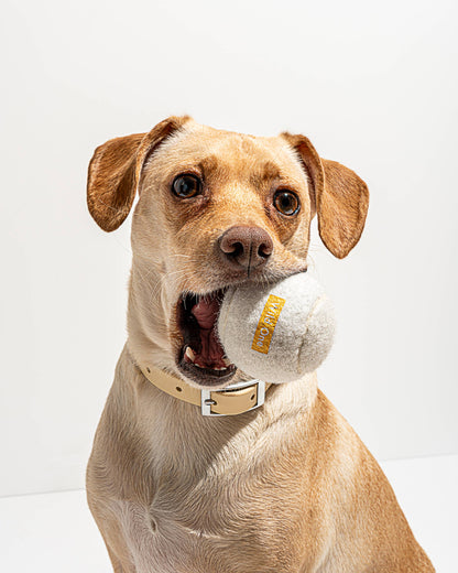 4-Pack Dog Tennis Balls: White